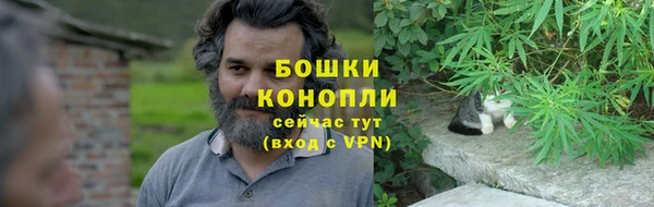 дурь Верхний Тагил