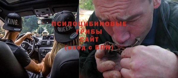 стафф Вяземский