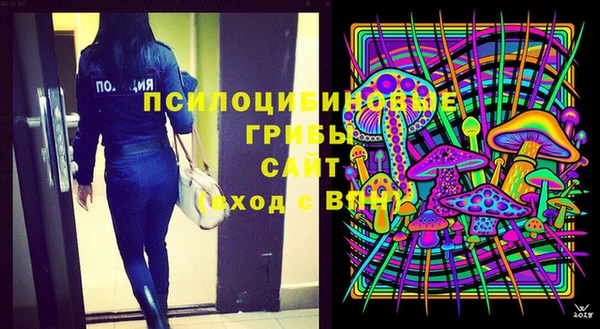 a pvp Вязьма