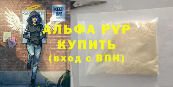 стафф Вяземский